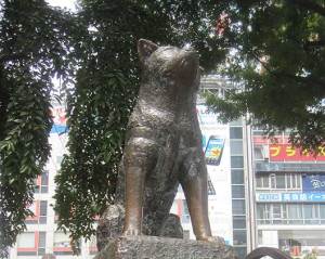 Hachiko statue Shibuya station
